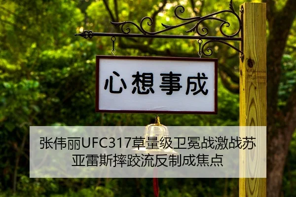 张伟丽UFC317草量级卫冕战激战苏亚雷斯摔跤流反制成焦点